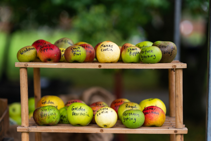 Things to do in London today: apples on display on a wooden shelf, with the name of the variety of the apple written on each one in black pen