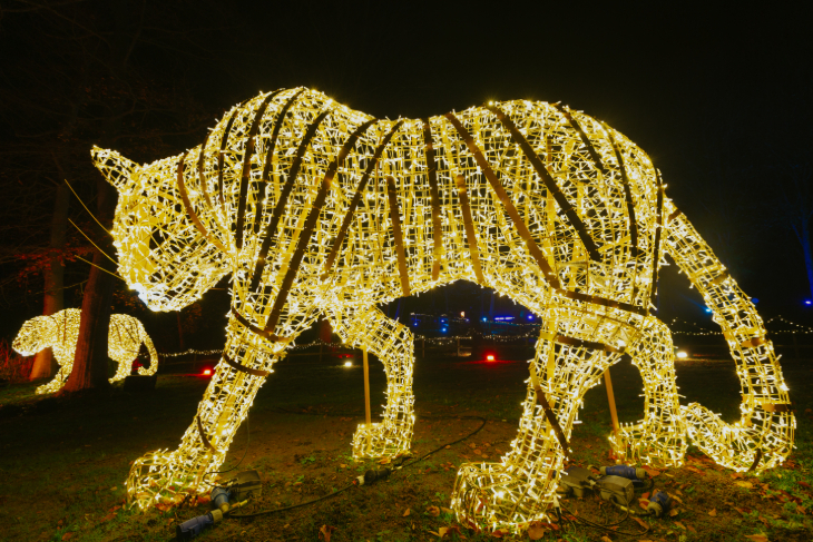 Winter light trails festivals near London Christmas 2026: a giant tiger sculpture made from gold fairy lights