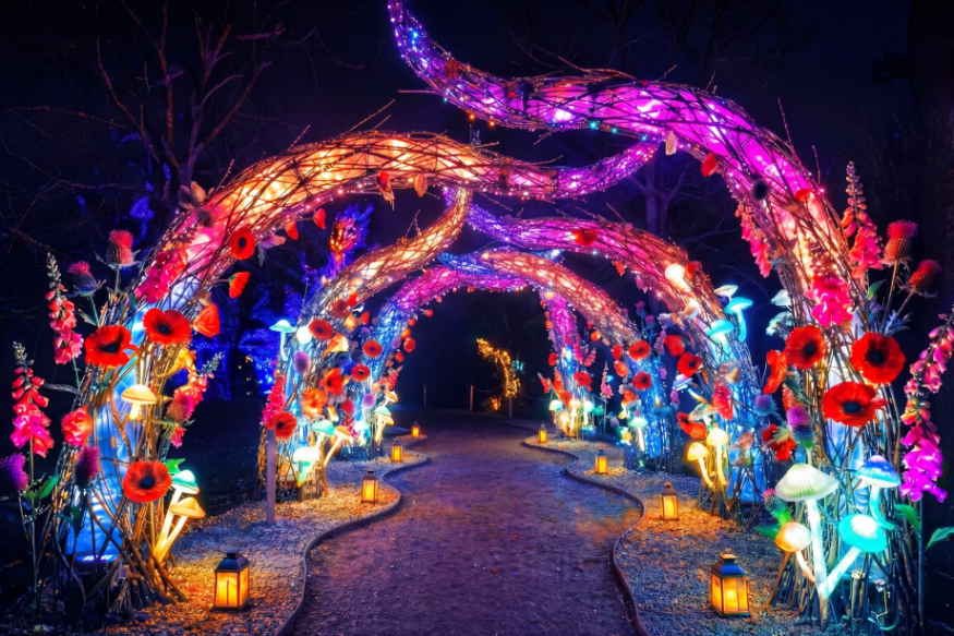 Winter light trails festivals near London Christmas 2026: a walk-through tunnel made of glowing tentacles and flowers