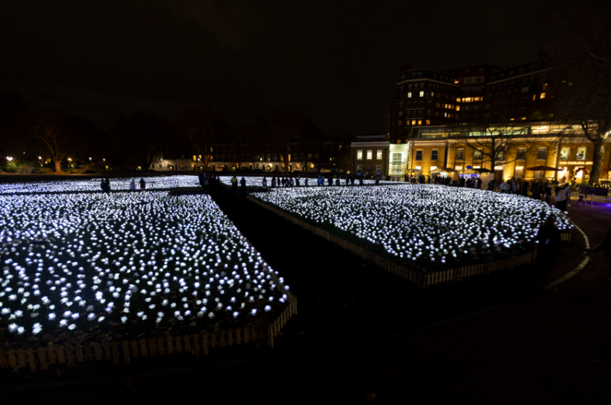 Ever After Garden 2026: a field of glowing white roses in the dark, with silhouettes of people walking among them