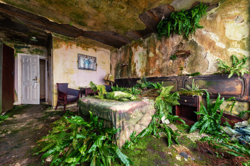 A painting of a bedroom in a deceprit state, with plants growing everywhere