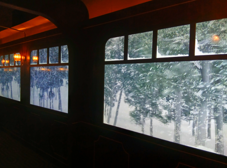 Train windows, with a snowy forest scene outside.