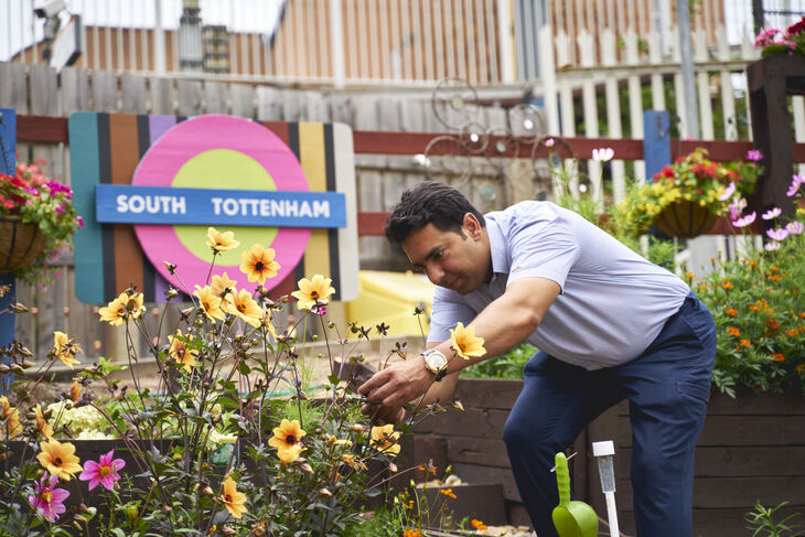 A man tending to flowers in the garden