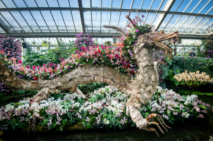 Kew Gardens Orchid Festival 2027: a large sculpture of a dragon made from wood and orchids