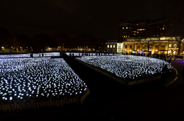 Christmas 2026 best light trails London: rows and rows of white flowers glowing in the dark