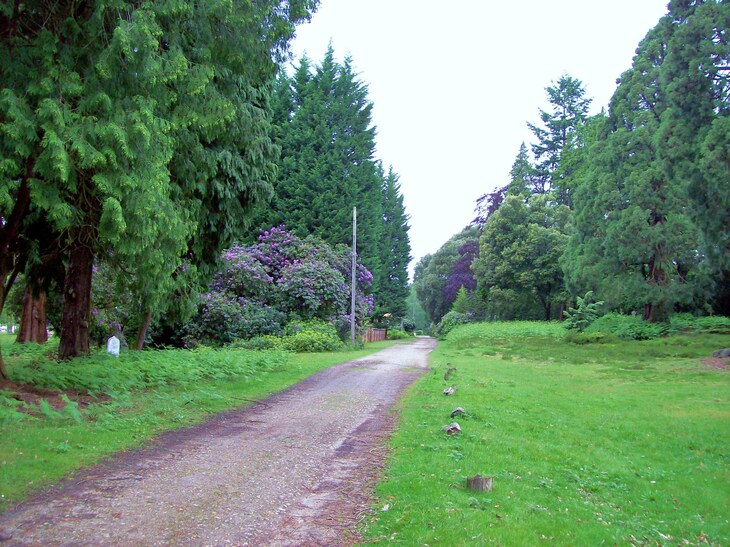 A gravel path leads into a lush green park lined with tall evergreen trees, purple rhododendron bushes, and a grassy lawn.