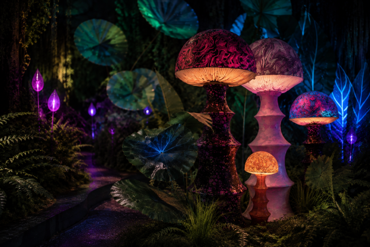 Things to do in London in November 2026:  a trippy display of colourful toadstools and leaves