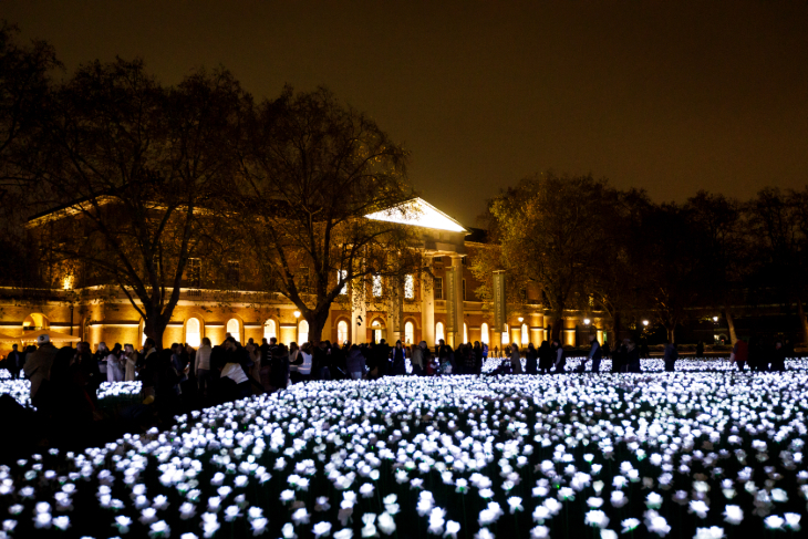 Things to do in London today: a field of glowing white roses outside Saatchi Gallery in Chelsea