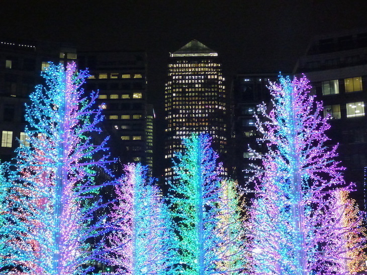 Canary Wharf Winter Lights 2027: Glowing trees in front of Canary Wharf's skyscrapers