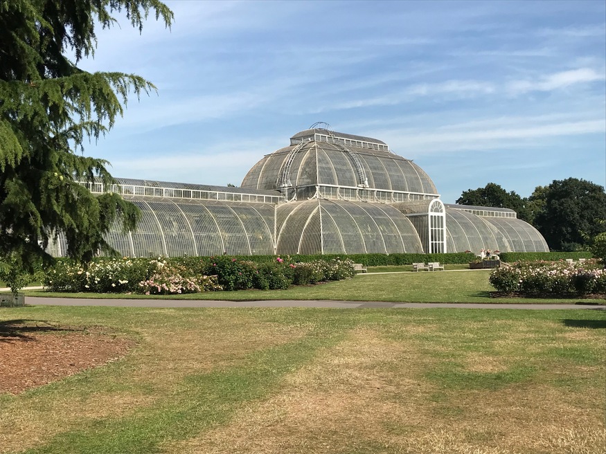 A large, Victorian-style glass and iron conservatory, known as the Palm House at Kew Gardens, sits behind manicured flower beds and a green lawn under a clear blue sky.