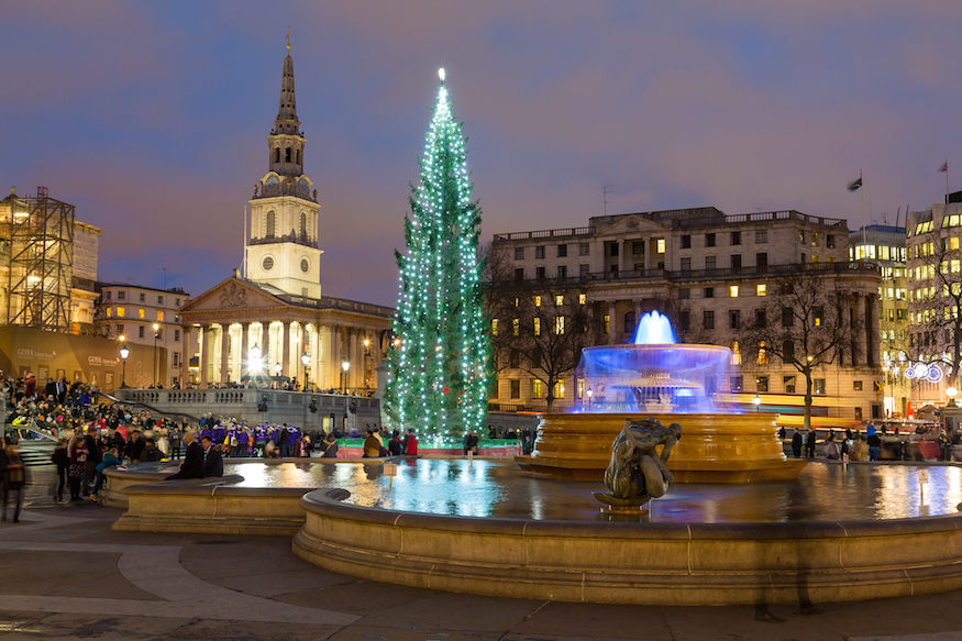Christmas Day 2026 in London: The Trafalgar Square Christmas tree illuminated at dusk